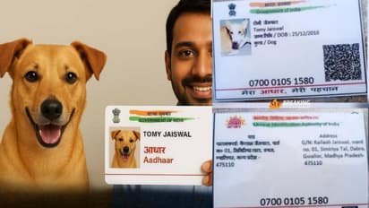 Gwalior dog Aadhar card