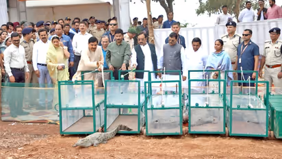 madhya pradesh mohan yadav crocodile conservation