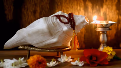 shankh direction in house