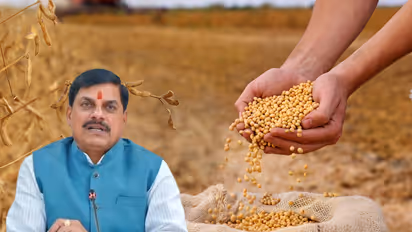 bhavantar yojana mp 2025 soybean model rate CM Mohan Yadav