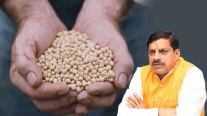 bhavantar yojana mp 2025 soybean model rate cm mohan yadav