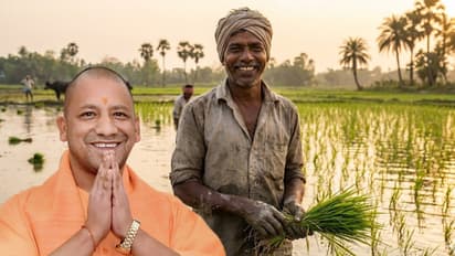 Yogi Government farmers growth paddy procurement at MSP record payment time