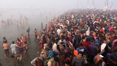 prayagraj magh mela 2026 preparations begin