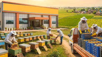 Yogi Government Barabanki madhumakhiwala startup new zealand branding support