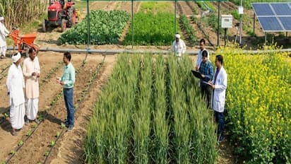 Yogi Government UP Krishi Model UP AGREES World Bank President Ajay Banga