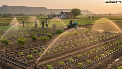 yogi government up micro irrigation ppin project gorakhpur sant kabir nagar
