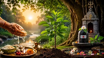 Hariyali Amavasya 2026 Muhurat