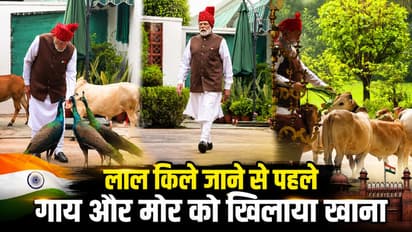 PM Modi Viral Video