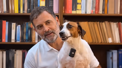 Rahul Gandhi