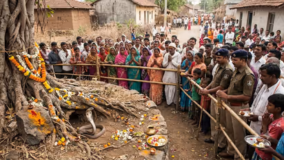 Dhar Cobra News