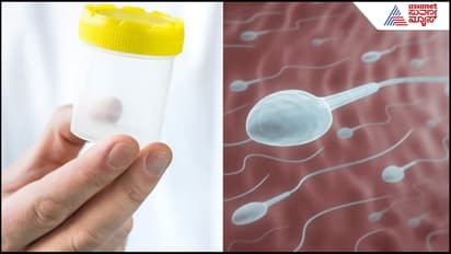 Sperm Donation