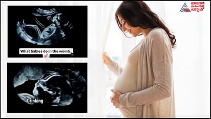 What a baby does in its mothers womb 