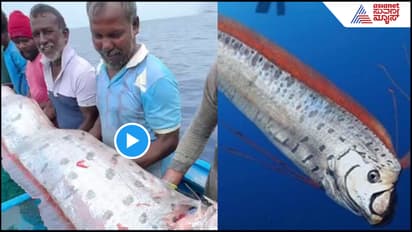 doomsday fish’ caught in Tamil Nadu