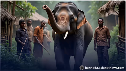 human wildlife conflict