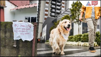 Stop Dogs From Pooping