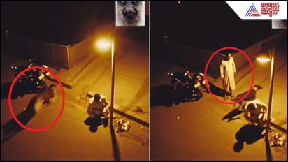 A dog turned into a human