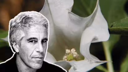 Jeffrey Epstein grew the Datura plant in his nursery