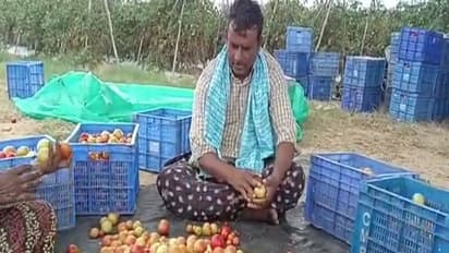 andhra farmer