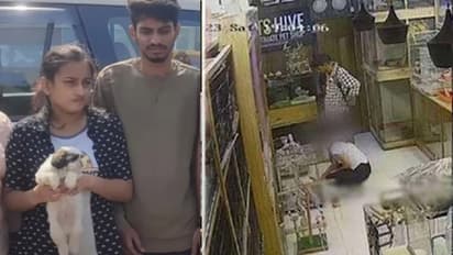 Shocking story of puppes stealing