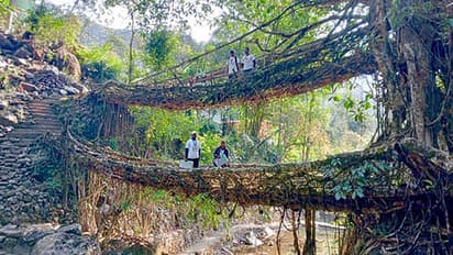 Assembly elections in Meghalaya and Nagaland