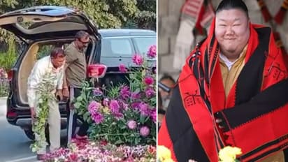 G20 flower pots thief