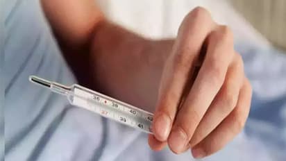 what is Influenza A virus subtype H3N2