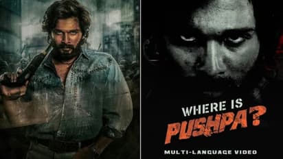 allu arjun pushpa 2 promo