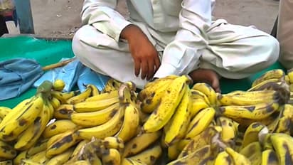 Pakistan Food Prices