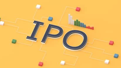 Snapdeal IPO Postpone