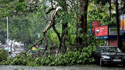 today weather report