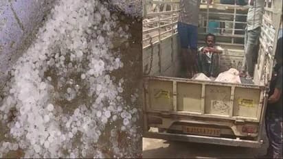 grandfather and grandson died