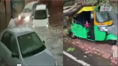 heavy rain in jodhpur