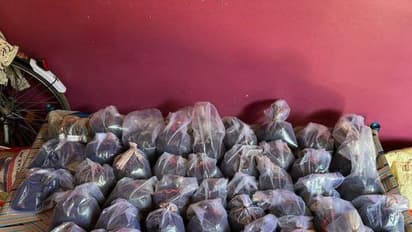 opium found in rajasthan