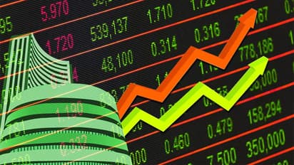 Alkyl Amines Chemicals share price