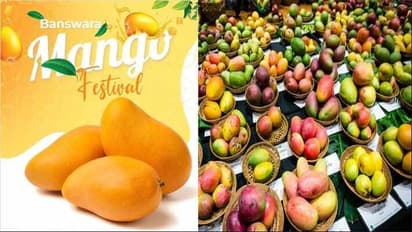 mango festival