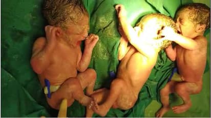 woman gave birth three child