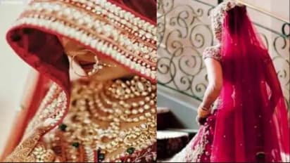 robber wife in rajasthan