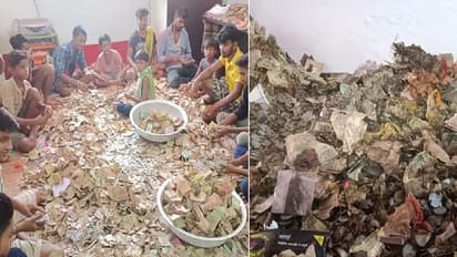 baba karu dham temples donation box opened