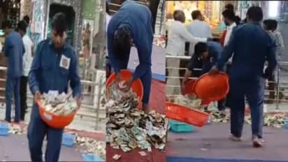 sanwaliya seth temple employee theft