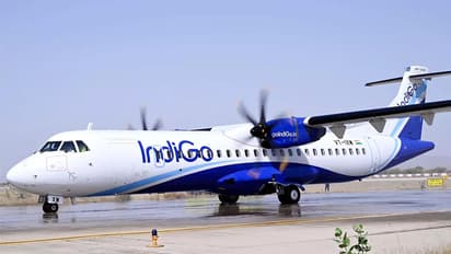 Indigo big deal