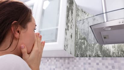 how-to-get-rid-of-dampness-on-the-walls