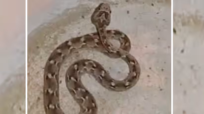 unique case of rajasthan