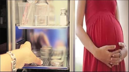 egg storage for pregnancy