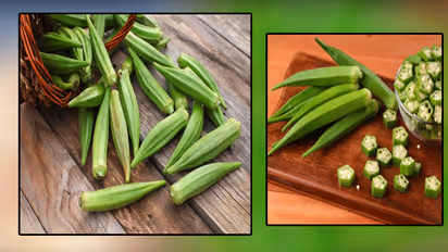 how to get rid from sticky ladyfinger