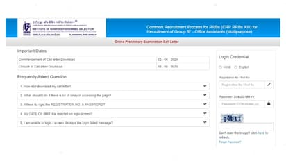 IBPS RRB Clerk admit card 2024 link
