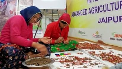 Raksha Bandhan 2024 special rakh 