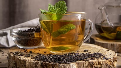 Tulsi-tea-benefits-and-recipe