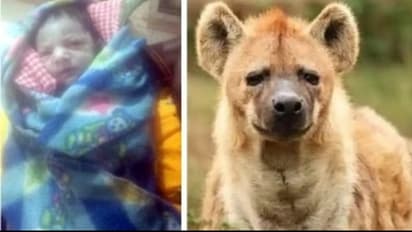 sawai madhopur news hindi