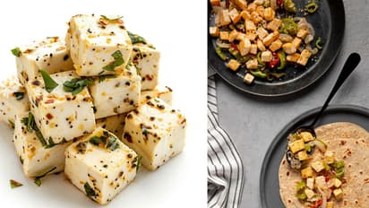 8-healthy-and-tasty-recipe-with-paneer