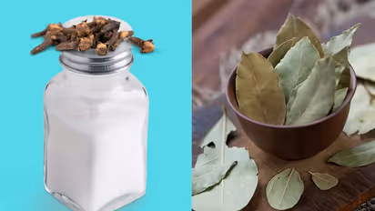 8-things-you-can-put-in-Salt-container-according-to-vastu